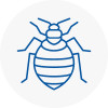 Bed Bug Extermination In Erskine Village
